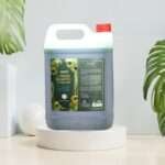 Mumtaz Amla Shampoo – 5 Liter